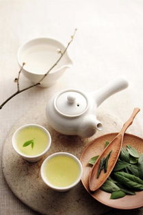 茶葉養生 鄭佩佩、凱麗領銜，媽媽們的健康保養經